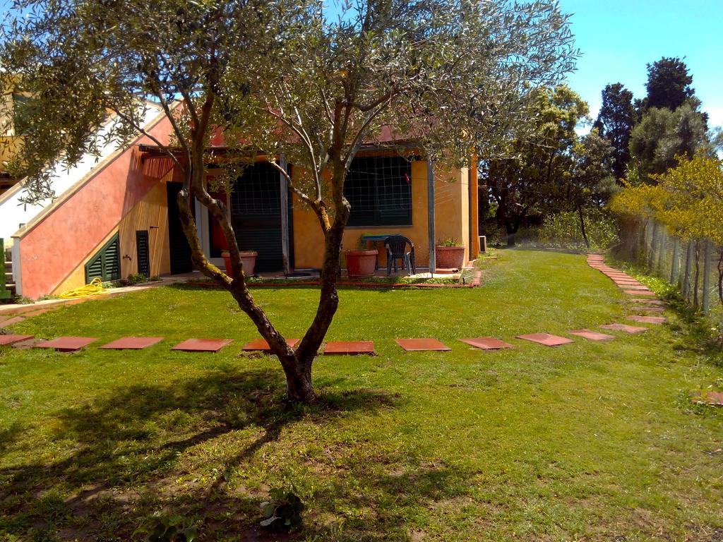 Kiteshomes Masainas
