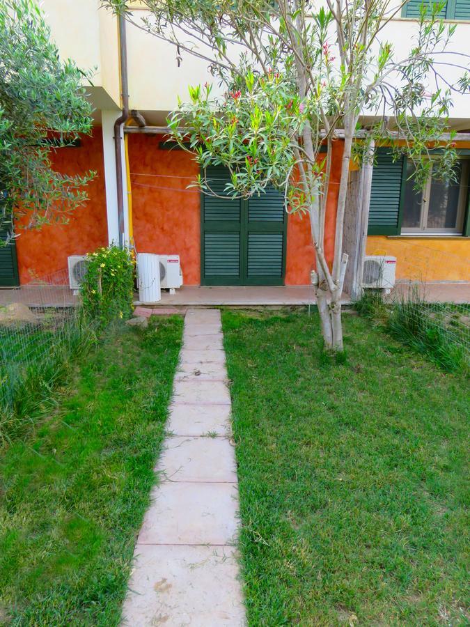 Kiteshomes Masainas